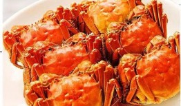 瓜妈cc吃大闸蟹视频,一场味蕾的奢华之旅