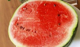 吃瓜大队吃瓜群众上线,揭秘吃瓜群众上线背后的故事