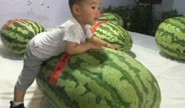 王者吃瓜事件图片,揭秘游戏圈内的惊人内幕