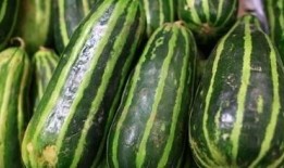 带你吃瓜公司,揭秘网红美食背后的故事