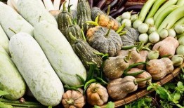 中药吃甘草瓜,中药与美食的完美融合