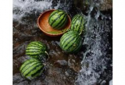 吃瓜cn.,网络热点的幕后故事