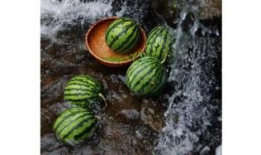 吃瓜cn.,网络热点的幕后故事