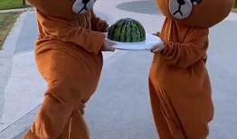 吃瓜的大熊,揭秘瓜界那些事儿