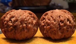 瓜娃吃核桃,趣味横生的核桃食用体验