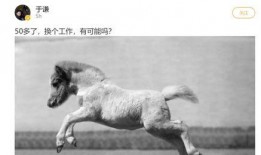 reddit怎么吃瓜,如何轻松成为吃瓜群众，紧跟热门话题