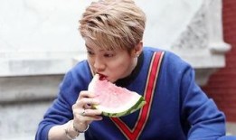 吃瓜鹿晗,瓜田里的青春偶像