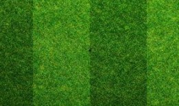 哪个足球比分软件好用,探寻最佳足球比分软件，解锁观赛新体验