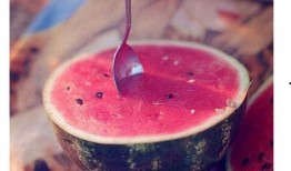 肾病可以吃瓜篓子,肾病患者的瓜篓子饮食指南