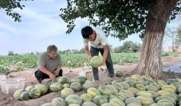 福建年度吃瓜,盘点那些让人津津乐道的街头小吃