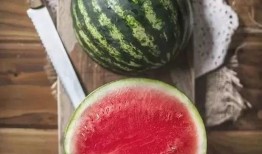 吃瓜不是瓜,一场关于网络热词的趣味探讨