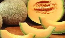 两岁半常吃哈密瓜好吗