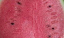 红宝瓜怎么吃,解锁美味新体验