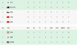 足球比赛比分统计图表,精彩对决背后的数据故事