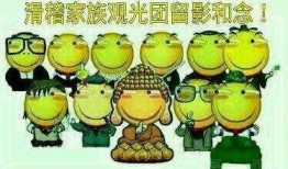 吃瓜文件讲什么,一场网络舆论的风暴与反思