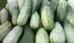 梦见吃大酥瓜,揭秘吃大酥瓜的神秘寓意