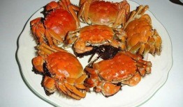 大闸蟹可以吃籽瓜吗,美味搭配的饮食探索