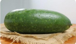 南瓜不如吃瓜,谁才是餐桌上的佼佼者？