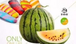 带你吃瓜公司,揭秘网红美食背后的故事