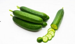 孕妇可吃矮瓜吗