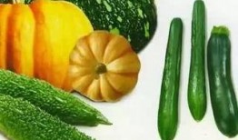 果果吃瓜,揭秘夏日消暑美食的甜蜜诱惑