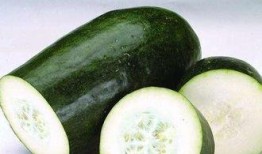 侯府吃瓜日常,揭秘侯府里的吃瓜日常