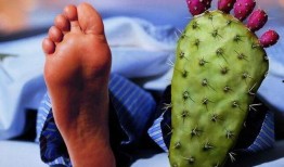 痛风可以吃花皮瓜,花皮瓜助力健康饮食