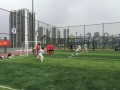 重庆足球比分查询今天比赛结果,今日重庆足球比分概览