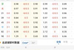 球探网比分足球即时手,实时数据解析，洞察赛场风云
