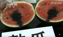 吃文水的瓜,探寻乡村美食之旅