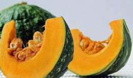 肺病可以吃蜜瓜吗,肺病患者适宜食用蜜瓜的探讨
