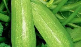 ulc吃瓜,揭秘娱乐圈背后的那些事儿