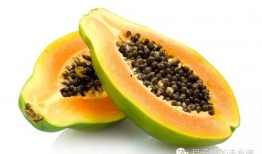 南方坐月子吃的一种瓜,传统坐月子的天然滋补佳品