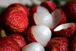 吃荔枝还可以吃王瓜吗,同食相宜的健康搭配指南