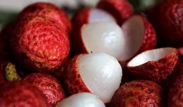 吃荔枝还可以吃王瓜吗,同食相宜的健康搭配指南