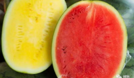 吃瓜cn.,网络热点的幕后故事