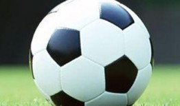 中外足球耐力对比分析图,揭秘耐力差异背后的奥秘