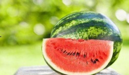 贵州安顺吃瓜,瓜果飘香，品味地方特色美食之旅