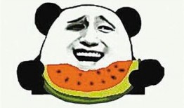 吃瓜还是不吃瓜什么意思,揭秘网络热议背后的真相与选择