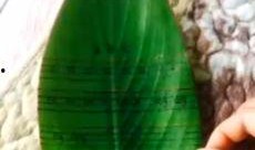 吃瓜群众芭蕉,揭秘娱乐圈幕后故事