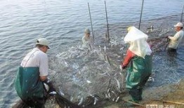 台海演习渔民吃瓜,渔民吃瓜观战记